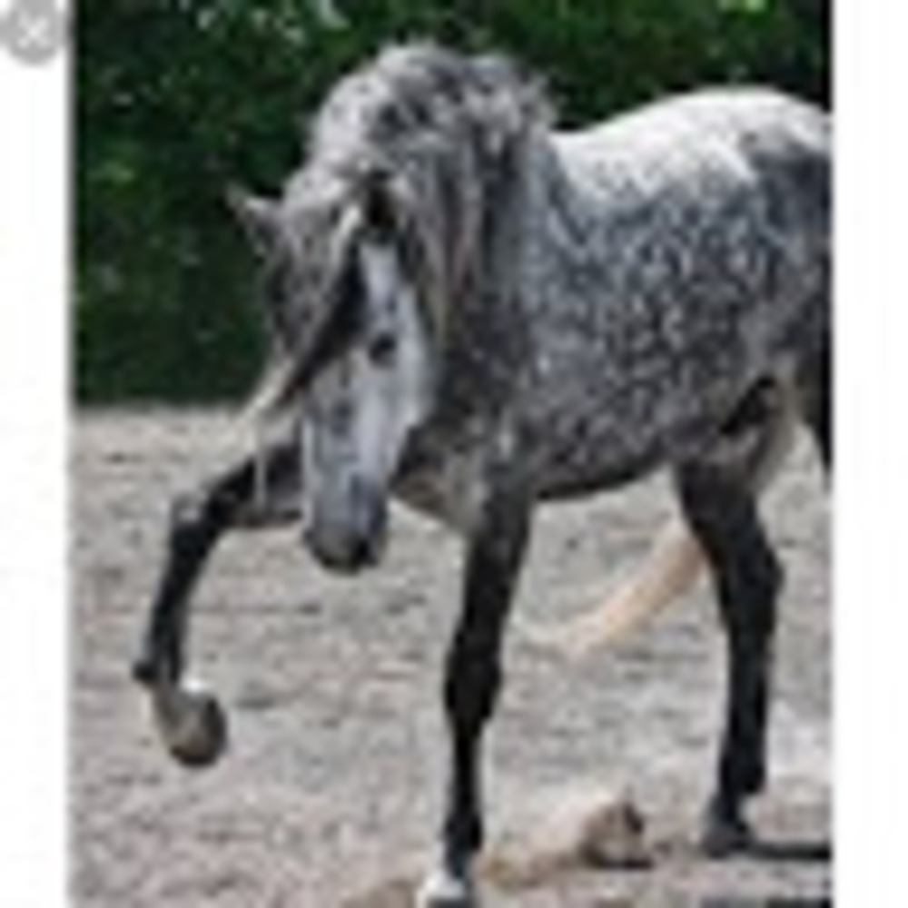 Meet your Posher, Unicorn